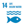 SDG 14: Life below water
