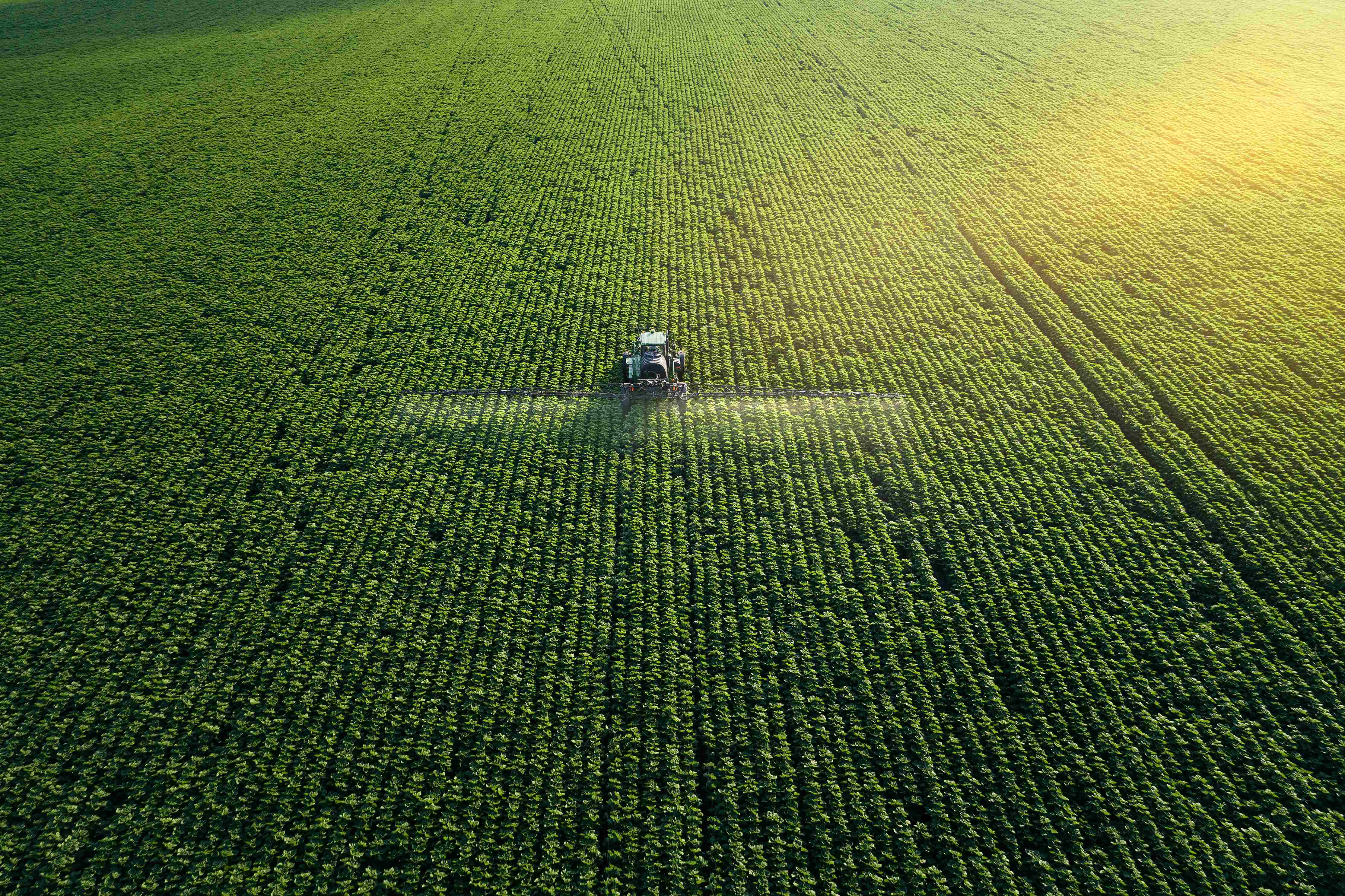 AgroBank premia a las 15 mejores startups del sector agrotech por impulsar la tecnología agroalimentaria.