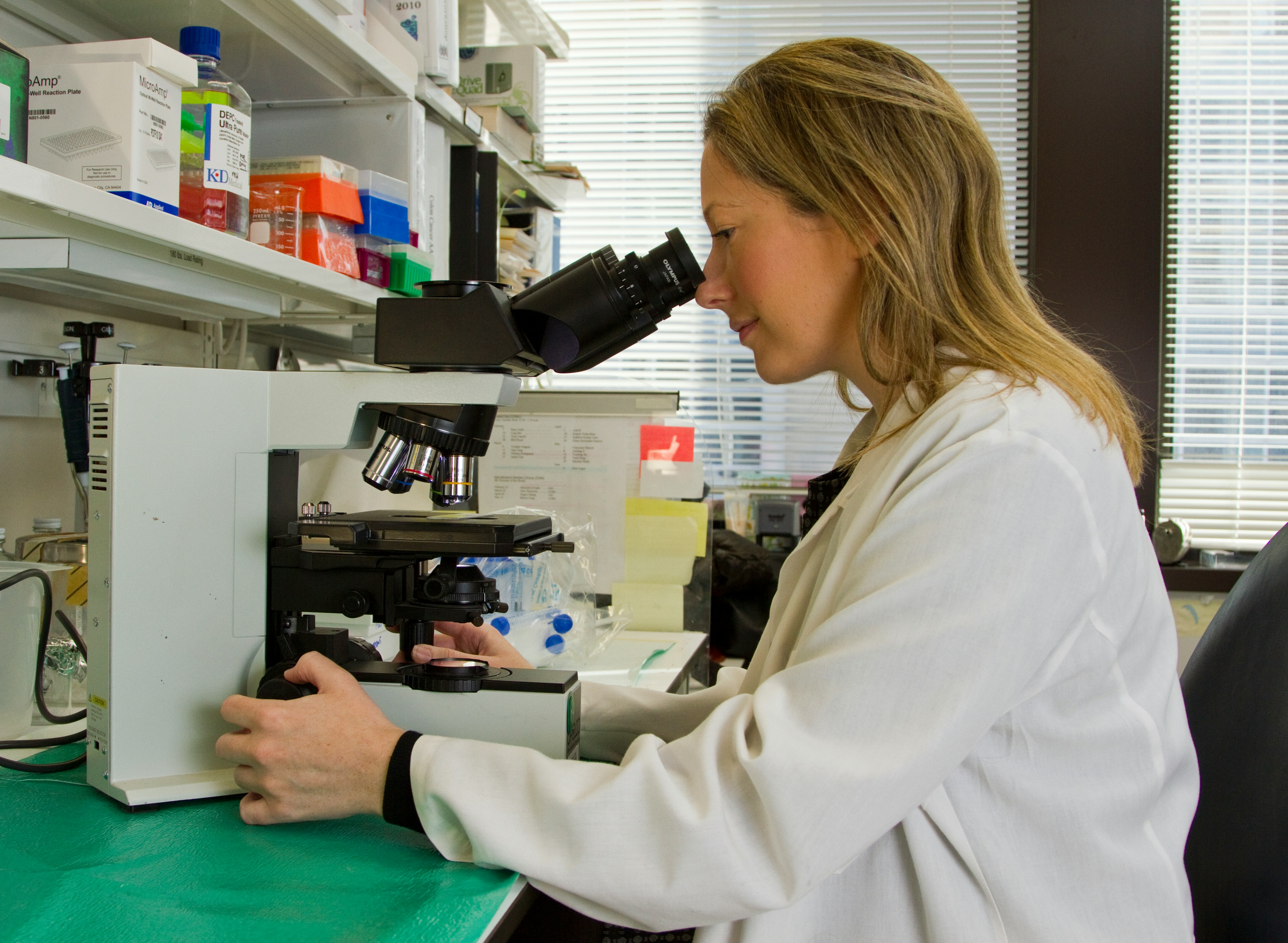 Comptar amb referents femenins en l'àmbit STEM és essencial per poder donar visibilitat al paper de la dona en aquestes disciplines.